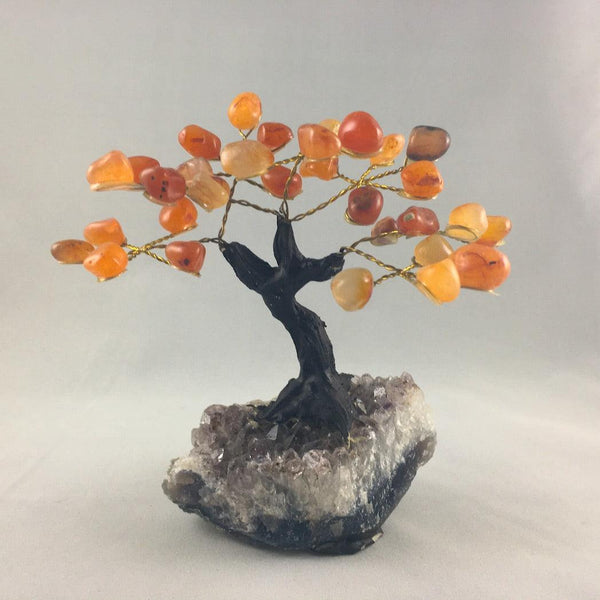 MEDIUM BONSAI TREES - Crystals & Gems Gallery