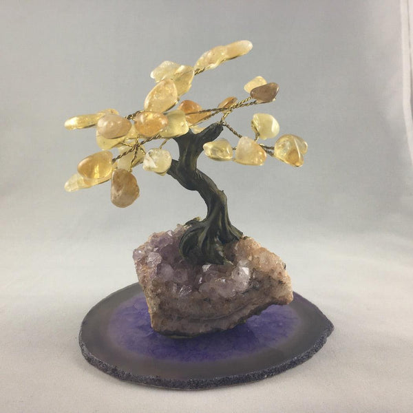 MEDIUM BONSAI TREES - Crystals & Gems Gallery