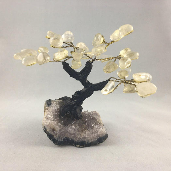 MEDIUM BONSAI TREES - Crystals & Gems Gallery
