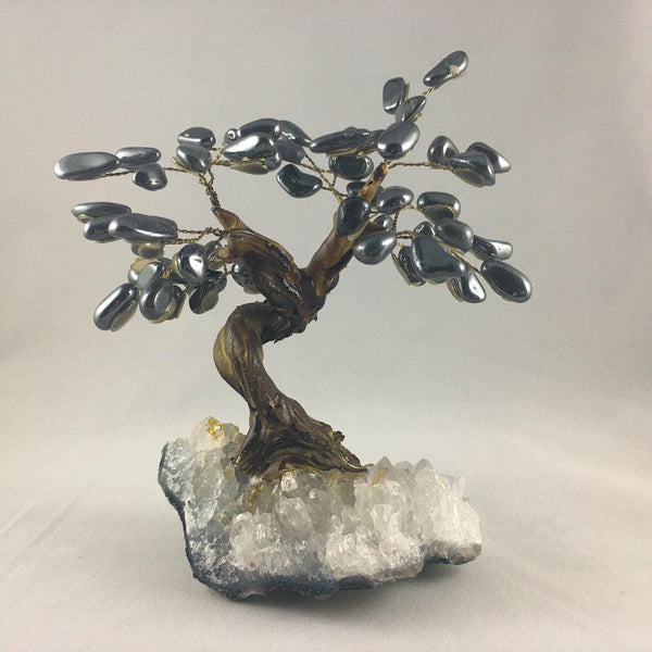 MEDIUM BONSAI TREES - Crystals & Gems Gallery