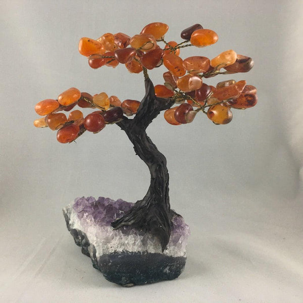 LARGE BONSAI TREES - Crystals & Gems Gallery