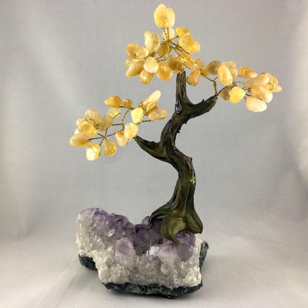LARGE BONSAI TREES - Crystals & Gems Gallery