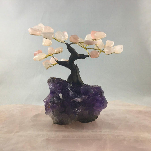 MEDIUM BONSAI TREES - Crystals & Gems Gallery