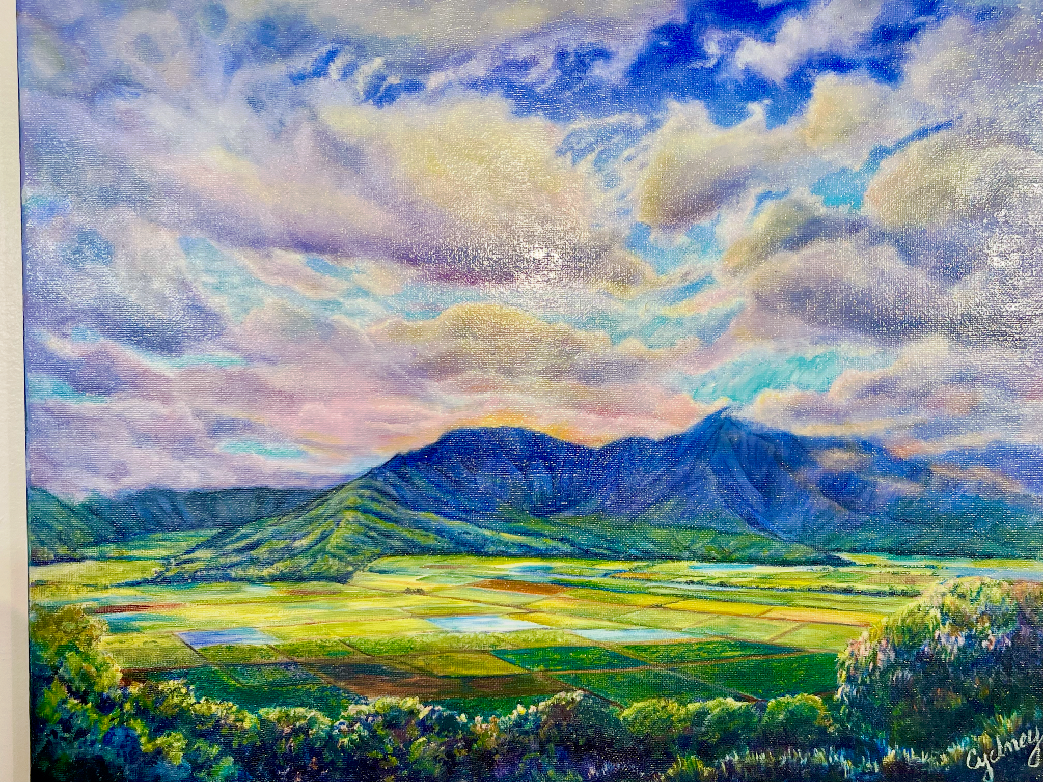 HANALEI MAGIC VALLEY