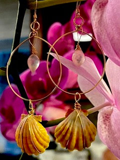 Kauai Sunrise Shell Earring