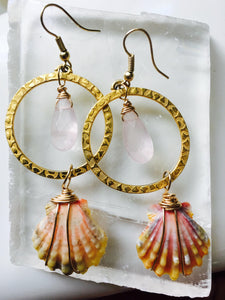 sunrise shell earrings