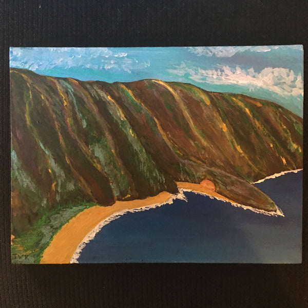 Na Pali Coast Kauai Painting
