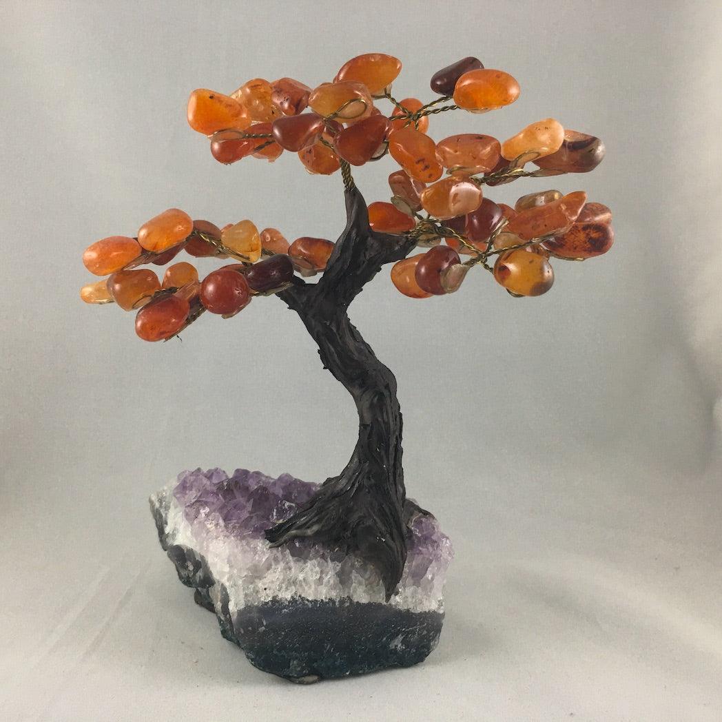 LARGE BONSAI TREES - Crystals & Gems Gallery 