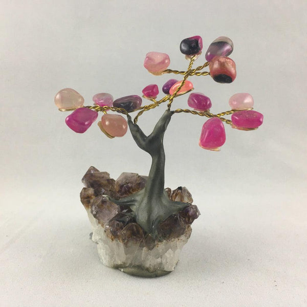 SMALL BONSAI TREES - Crystals & Gems Gallery 